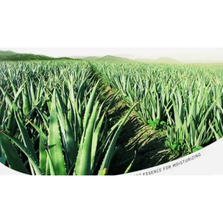 Krem do twarzy Zmarszczki ALOE VERA ALOES - 50g
